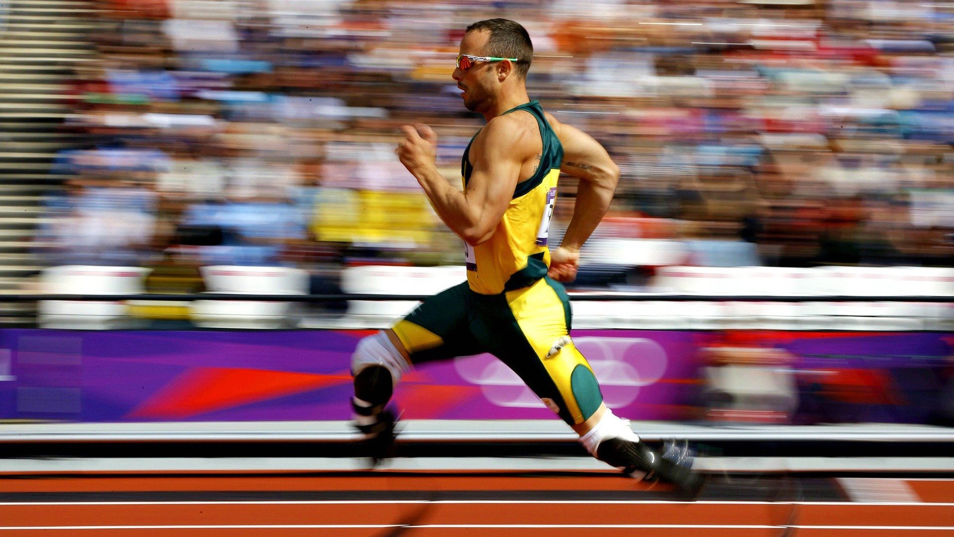 _篮网光芒四射，战术多变令人惊艳_，from the grind up篮网