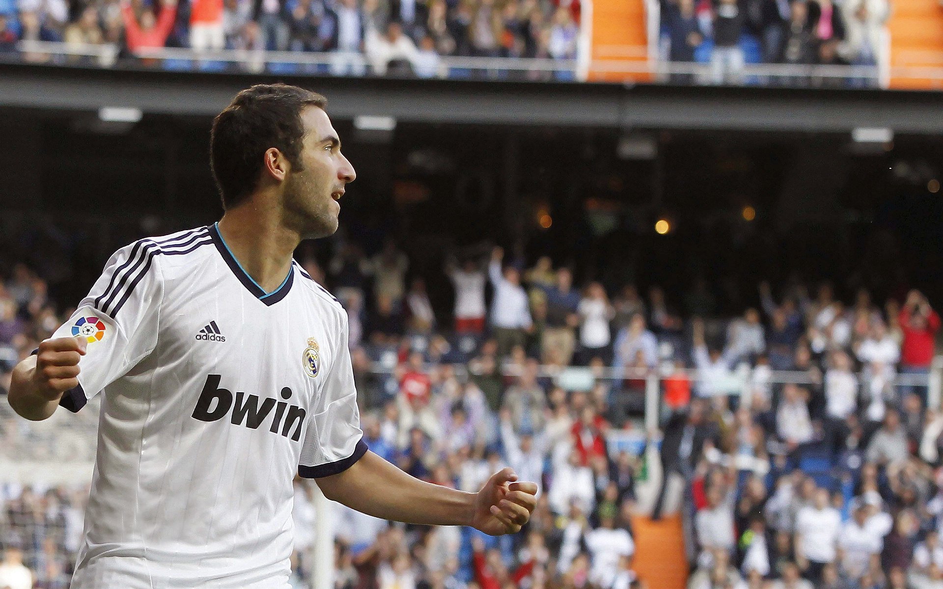 “激情四溢！明星阵容拼尽全力，演绎最火爆赛事”，女明星的激动片段