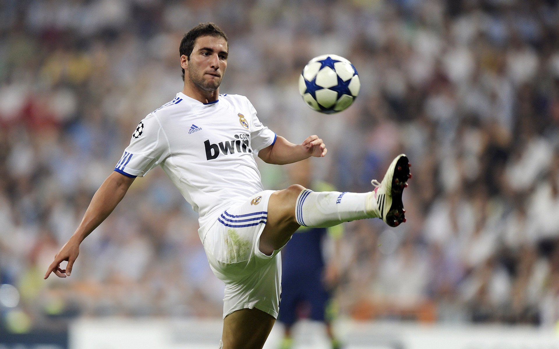 开云体育移动版-史上最震撼“冠军战役”回忆，激动人心！，冠军的视频